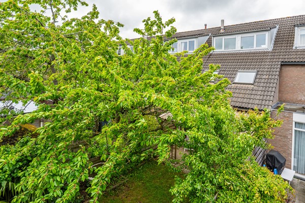 Medium property photo - Dopheidestraat 23, 2165 VM Lisserbroek
